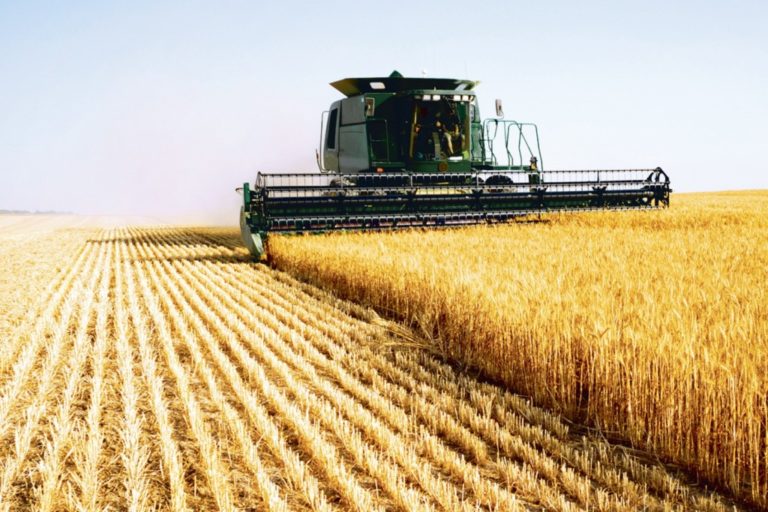 Recoltarea cerealelor: Recomandări pentru agricultori