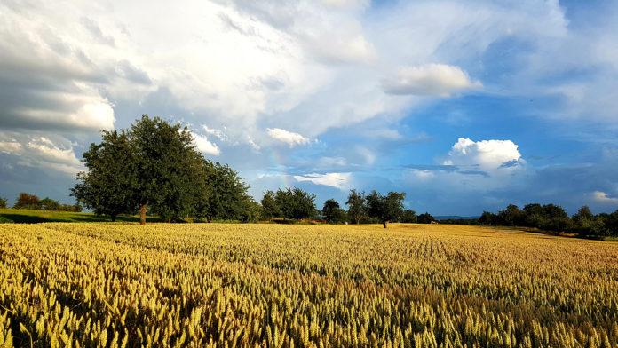 Agricultura-sec-alimentar