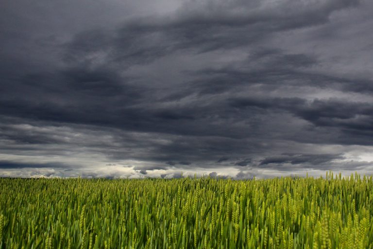 ANM: Cod galben de averse în 17 judeţe şi ploi în întreaga ţară