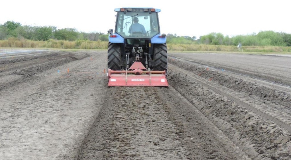 Tavalugire | Agrobiznes.ro