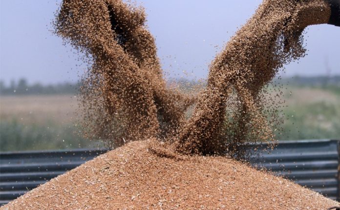 recota grau porumb ue