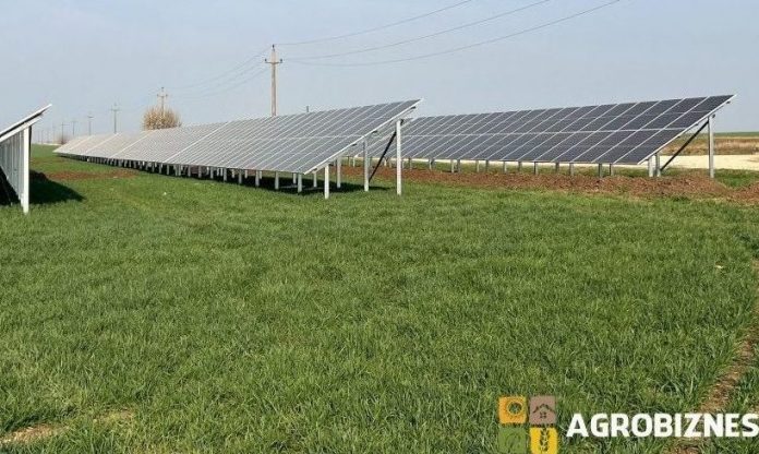 panouri-fotovoltaice-energie-regenerabila