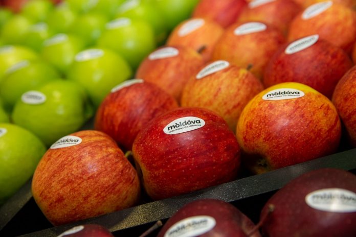 Moldova-Fruct-ziua-fructelor