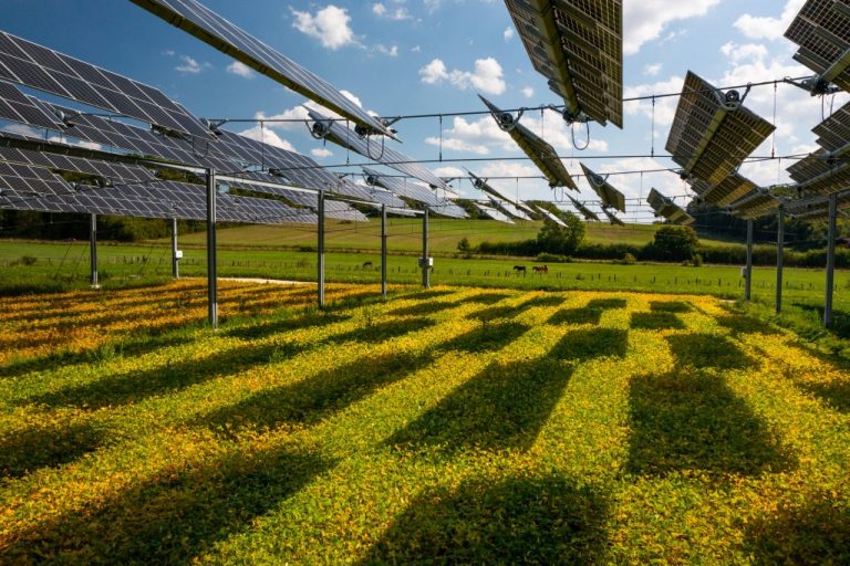 UE aprobă un proiect de 1,7 mlrd euro  pentru dezvoltarea sistemelor agrivoltaice în Italia