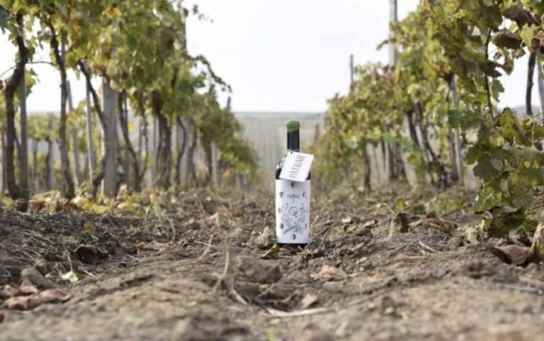 Vinurile românești – creștere și succesul major la Winelovers Wine Awards