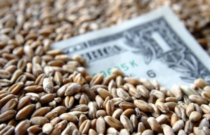 piata-mondiala-agricola-pret-cereale