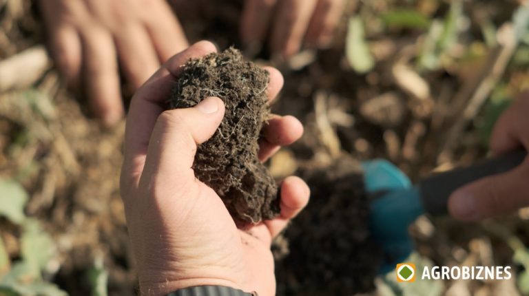 temperatura solului