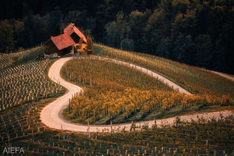 AIEFA lansează concursul naţional de fotografie pe teme agricole; participarea este gratuită