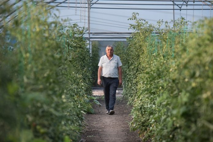 costel-vinatoru costel vînătoru