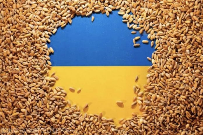 grau-ucraina ucraina grane