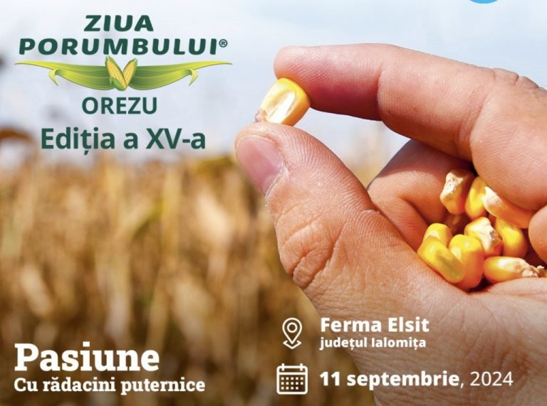 Ziua Porumbului, Orezu 2024