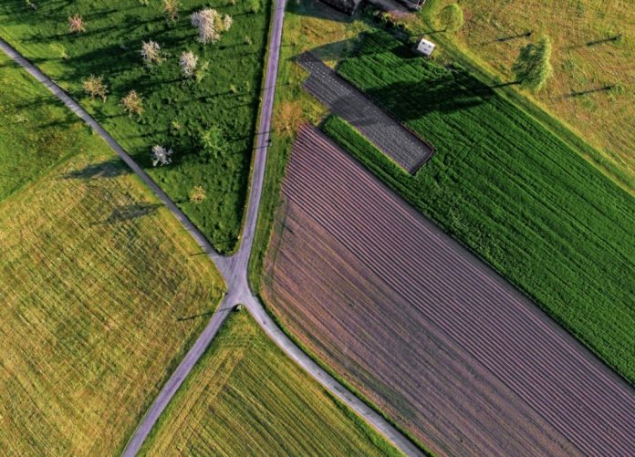 agricultura-camp teren agricol