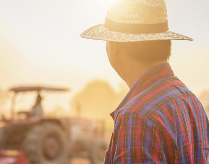 fermieri-grup-serban