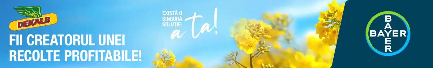 Advertisement banner for DeKalb seeds: yellow canola flowers, blue sky, and Bayer logo with Romanian slogan about a profitable harvest.