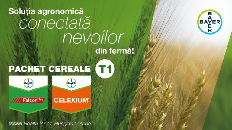 Pachet Cereale T1 – sinergia a 6 substanțe active pentru controlul bolilor și buruienilor