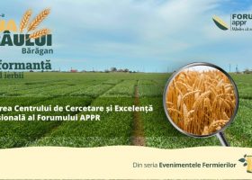 Ziua Grâului Bărăgan