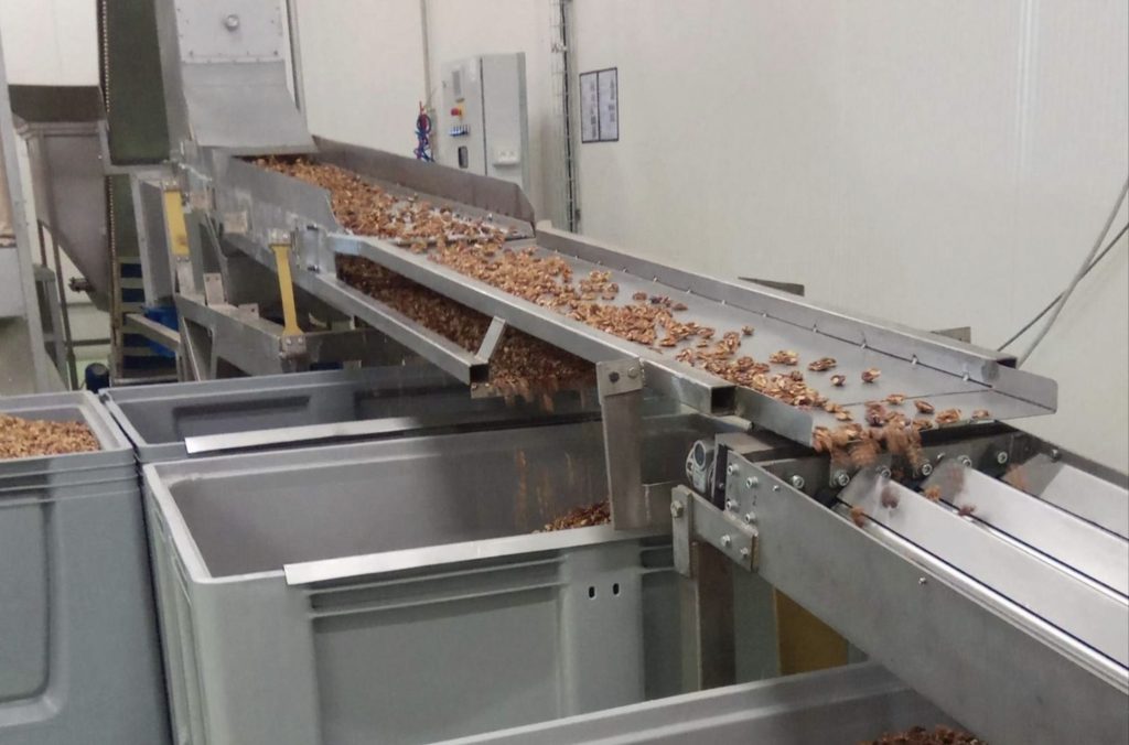 transilvania-grup transilvania nuts