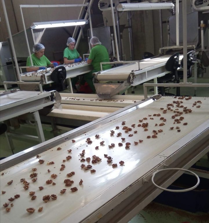 transilvania-nuts | Agrobiznes.ro transilvania nuts