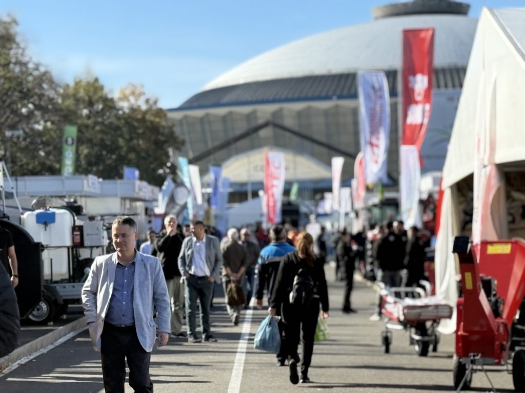 ziua-olandei-indagra ziua olandei indagra