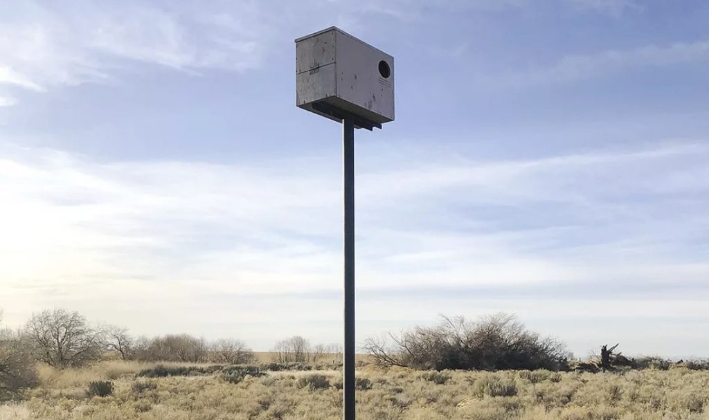 casuță pentru cuibarit bufnita