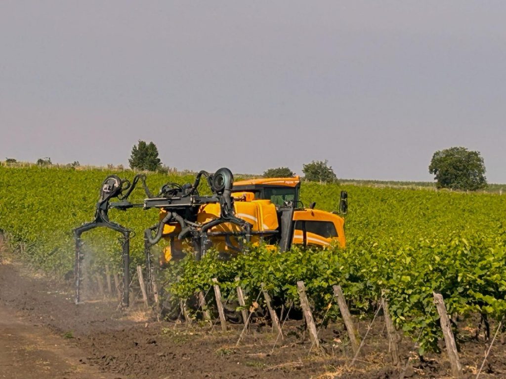 flavascenta-aurie-vita-de-vie | Agrobiznes.ro