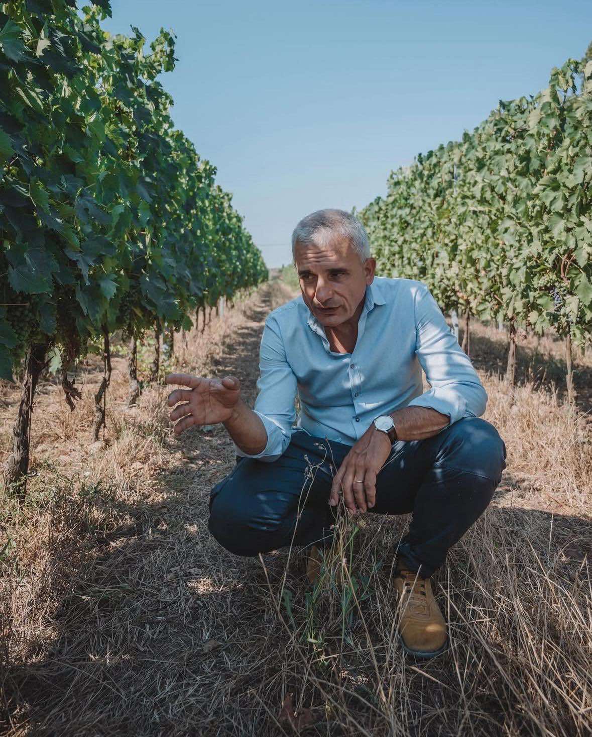 flavescenta-aurie | Agrobiznes.ro