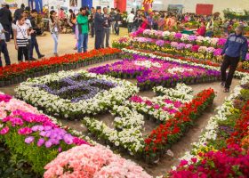 Flower & Horticulture Expo 2026