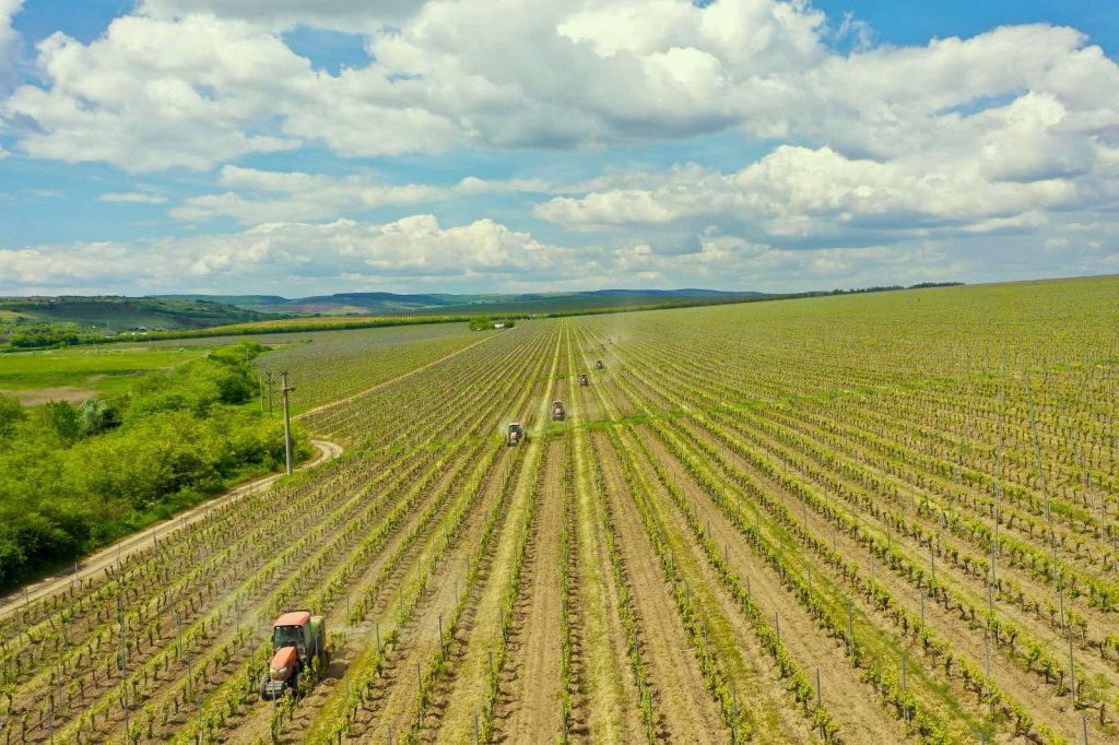 lucrari-vita-de-vie | Agrobiznes.ro