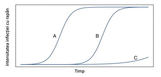 rapanul-la-mar-540x260 | Agrobiznes.ro