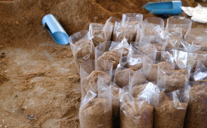 substrat ciuperci saci