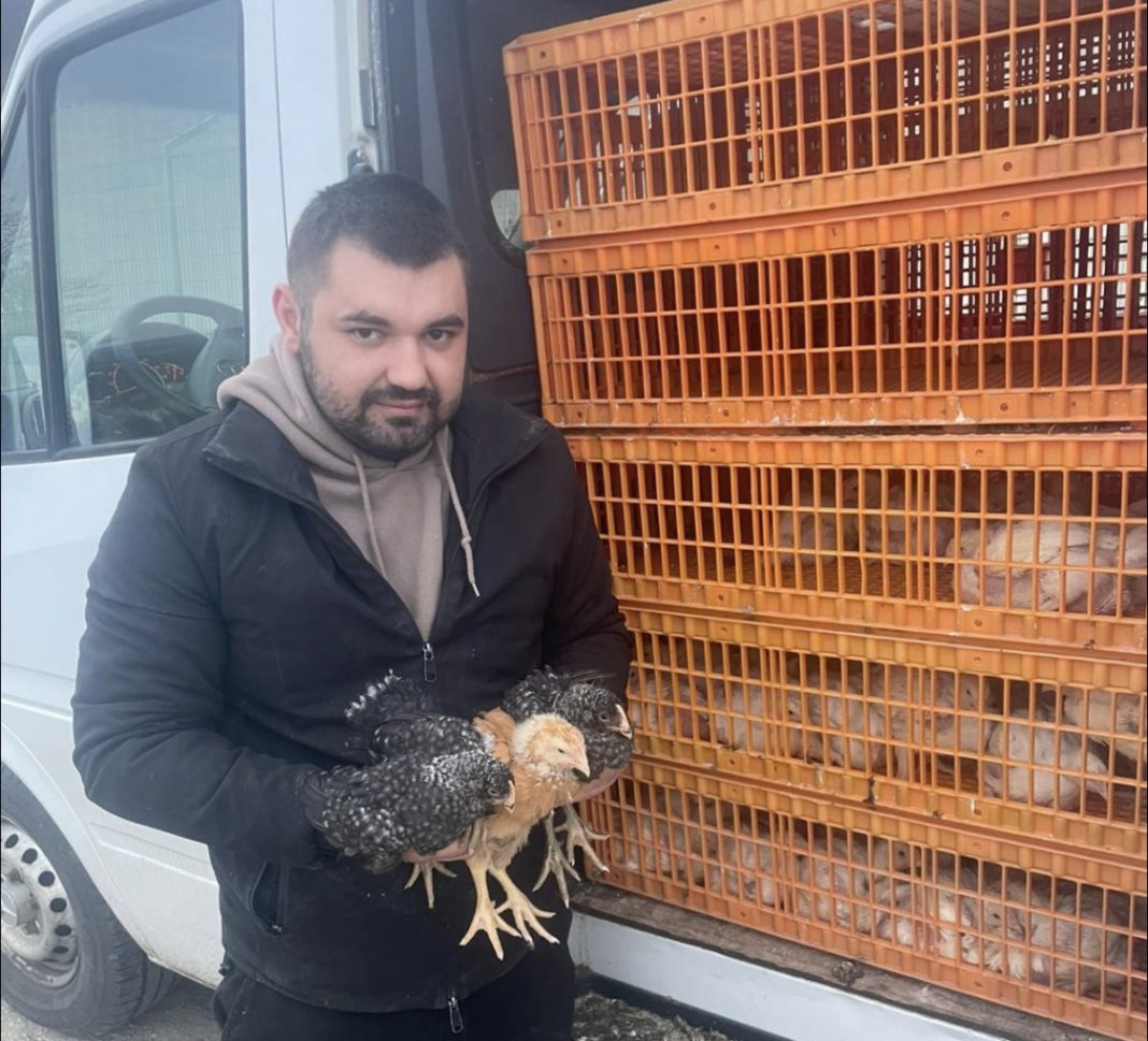 daniel damian zootehnist