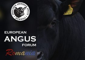 EUROPEAN ANGUS FORUM 2026