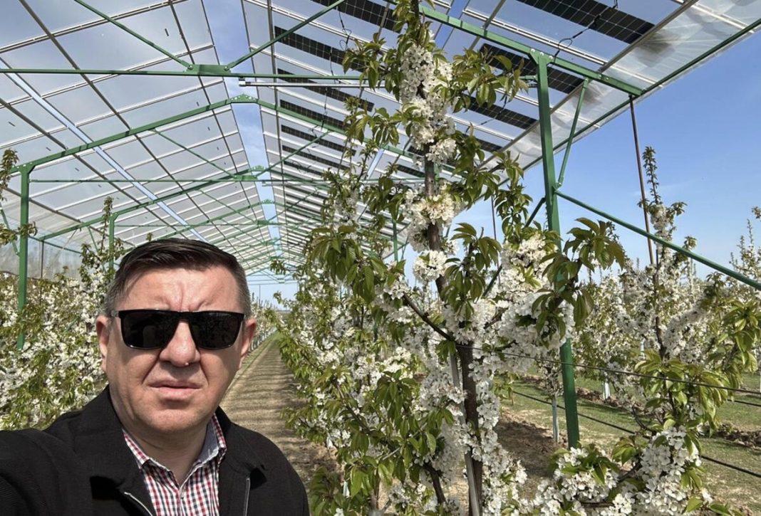 hortivoltaice
