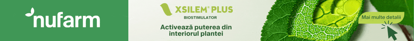 Nufarm banner promoting Xsilem Plus biostimulator; green branding, a close-up leaf, Romanian slogan and a 'Mai multe detalii' button.