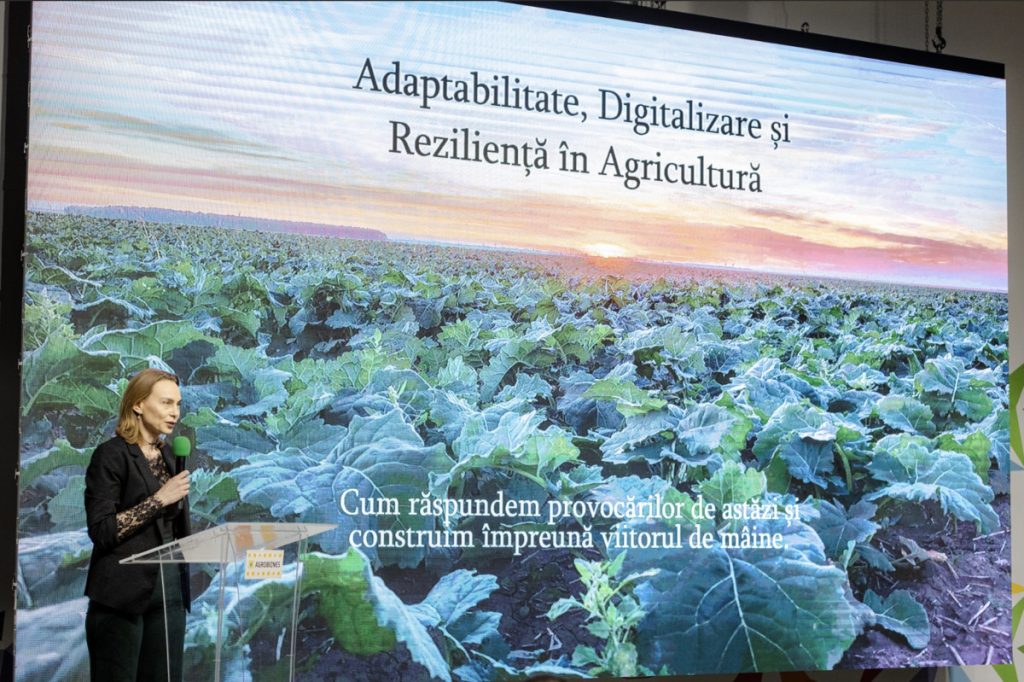 adaptabilitate si rezilienta