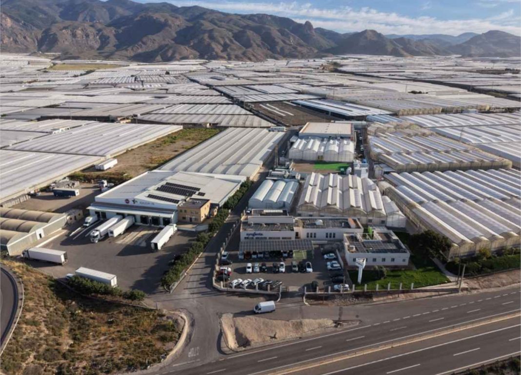 Aerial view of a large greenhouse complex with numerous white plastic-covered greenhouses and a central administration and loading area, set against distant mountains.