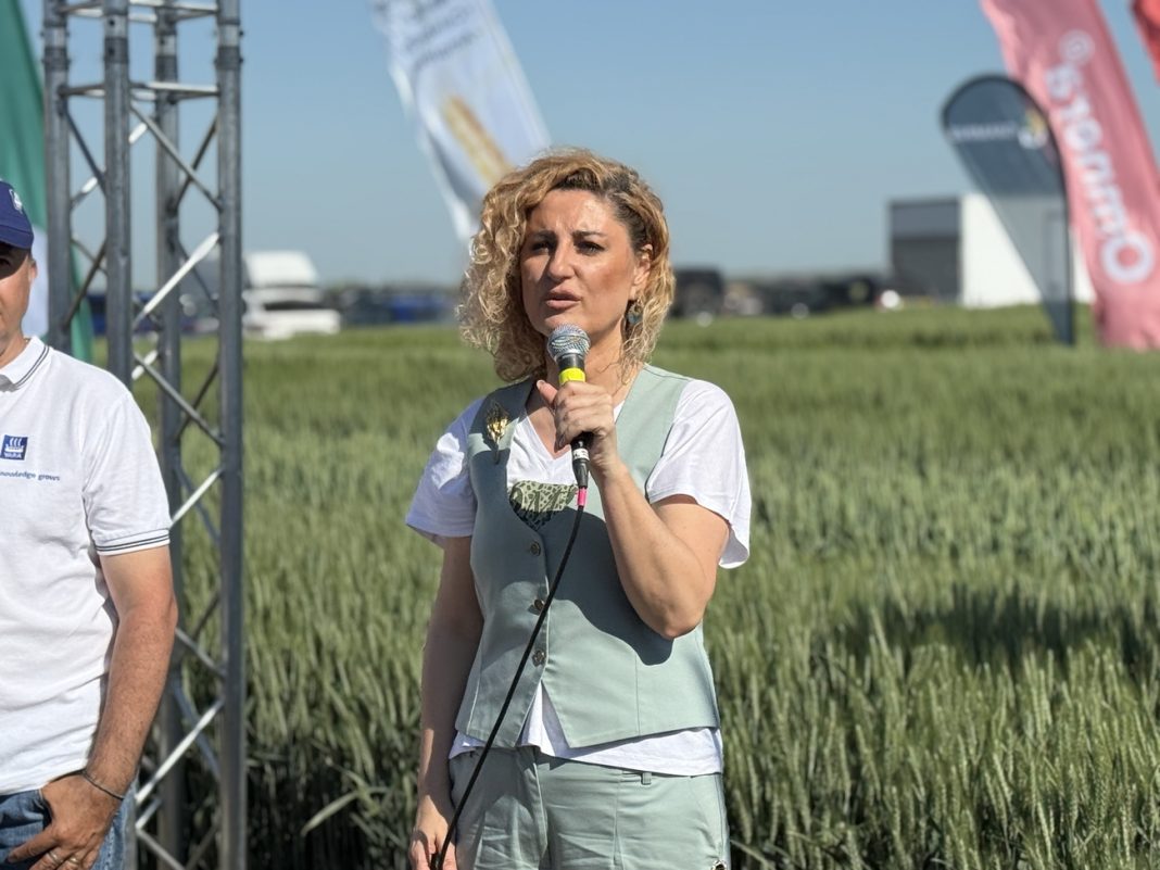 alina cretu