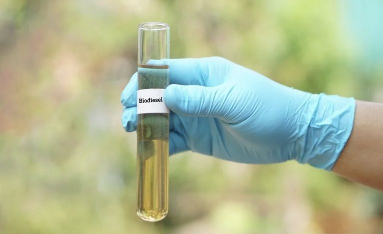 Gloved hand holds a test tube labeled Biodiesel with a pale yellow liquid, blurred outdoors in the background.
