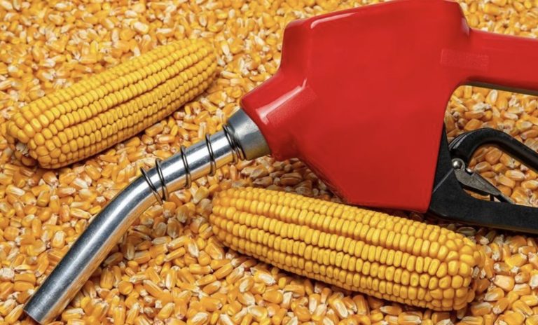 Red fuel nozzle resting on yellow corn kernels, suggesting corn-based ethanol fuel.