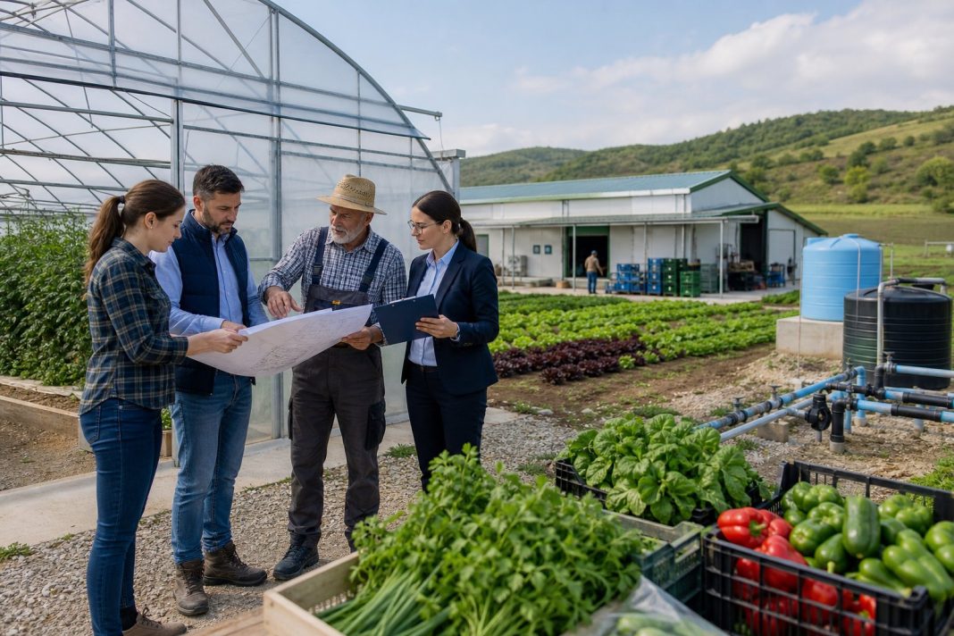 Patru persoane discută un plan la o seră, lângă culturi de legume și lăzi cu produse proaspete