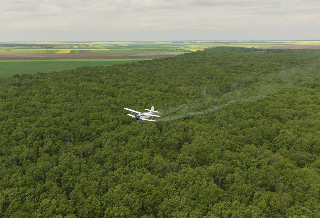 Small white plane flying low over a dense green forest, leaving a light smoke trail behind it. The patchwork fields are visible in the distance.