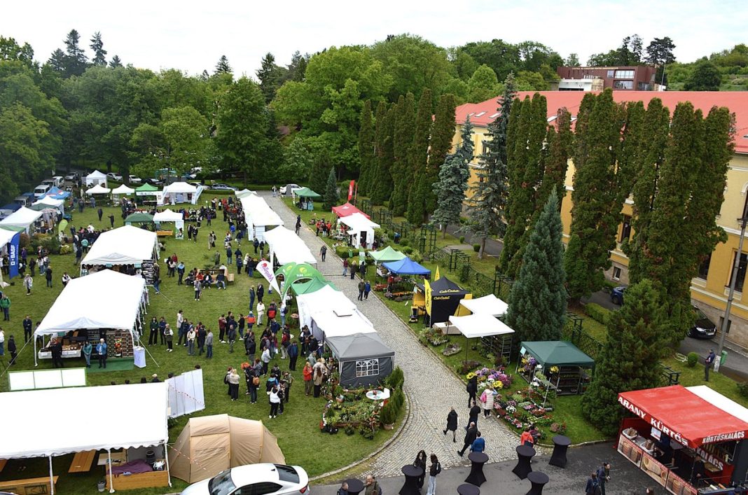 Aerial view of an outdoor market with white and colored tents lining a cobblestone path on a grassy campus courtyard, with people browsing stalls and trees in the background.