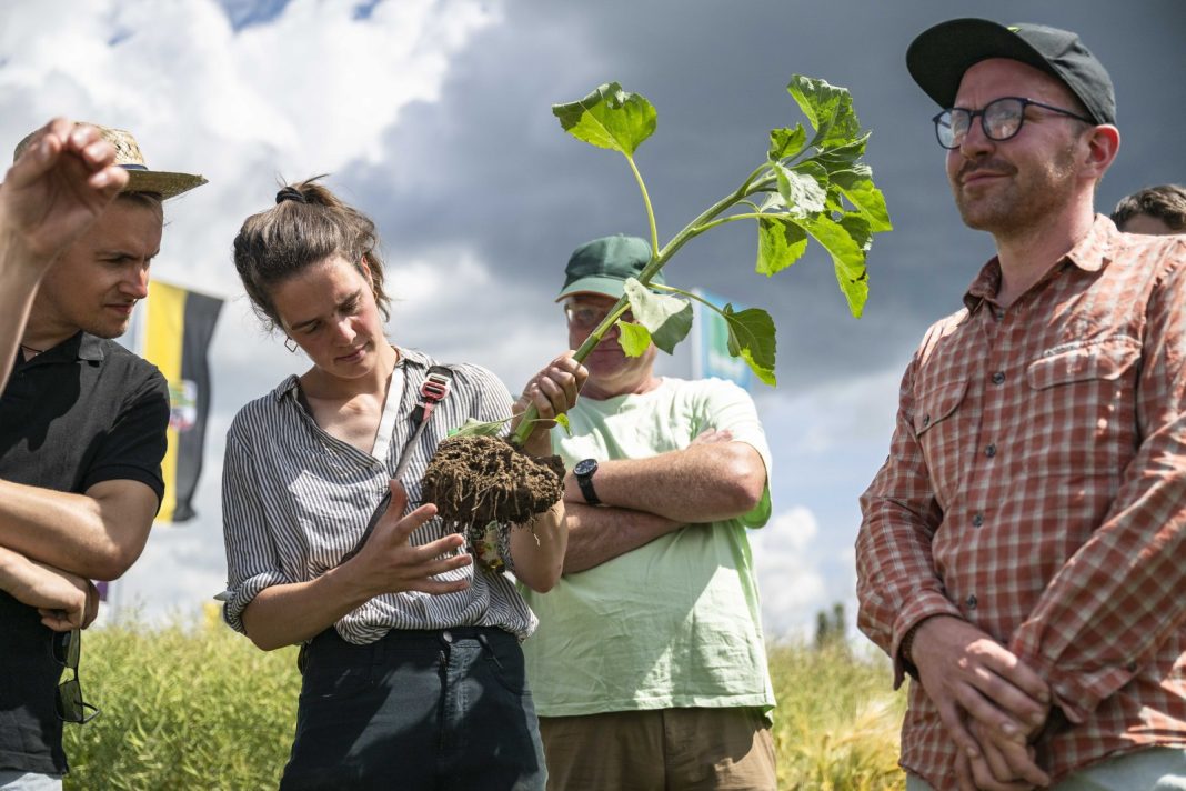 Group of adults outdoors as a woman holds up a young plant with its exposed roots for inspection.