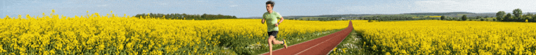 Person running on a red track cutting through a bright yellow canola field under a blue sky.