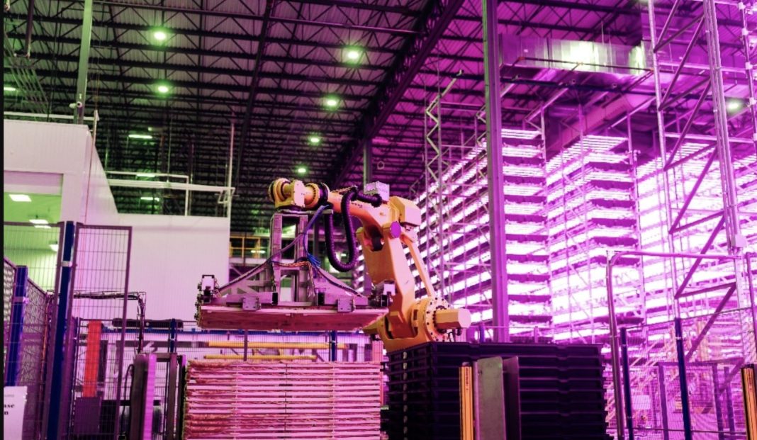 Orange industrial robotic arm lifts pallets on a movable platform inside a warehouse with tall racking and purple lighting