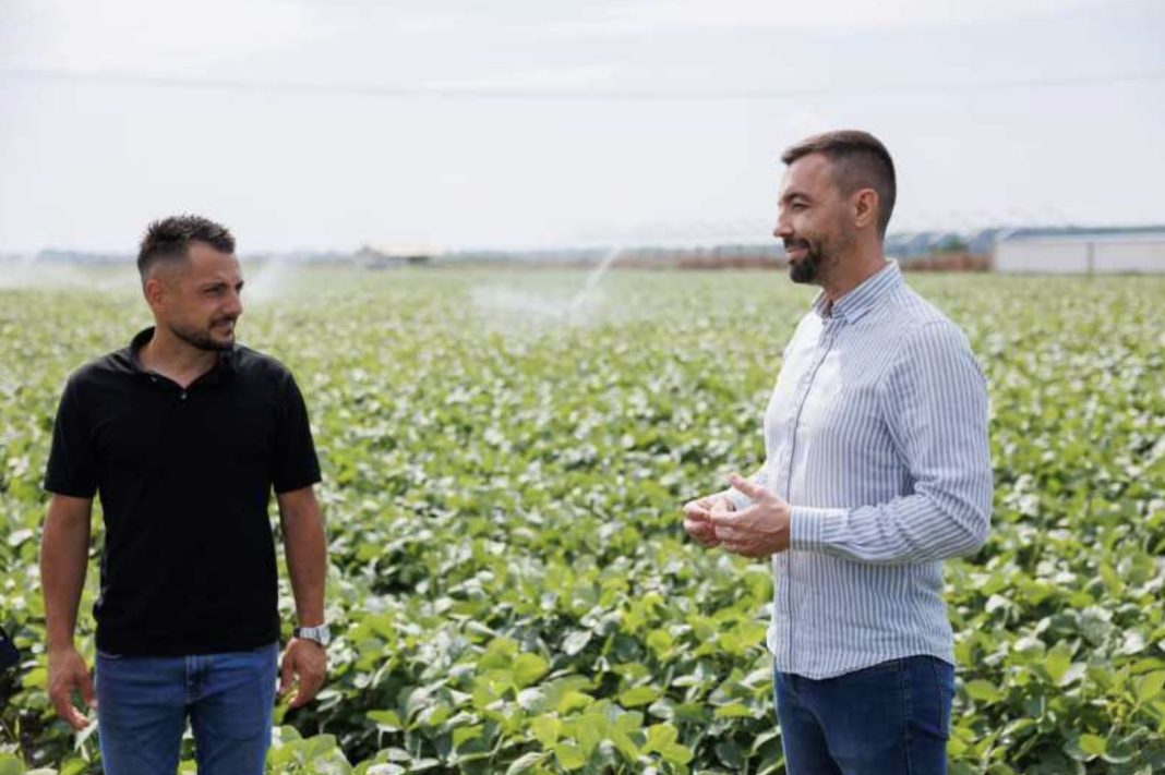 Two men in a green crop field having a conversation; one wears a black polo shirt, the other a striped button-down shirt.