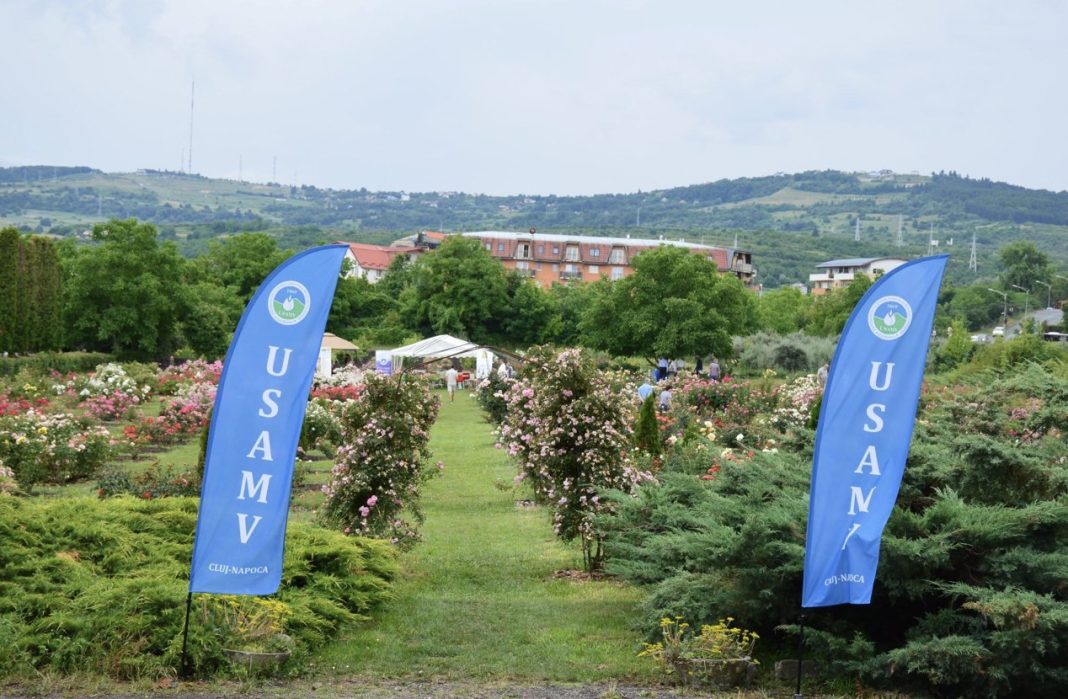Blue banners reading USAMV flank a rose garden path at an outdoor event with tents in the distance and hills beyond.