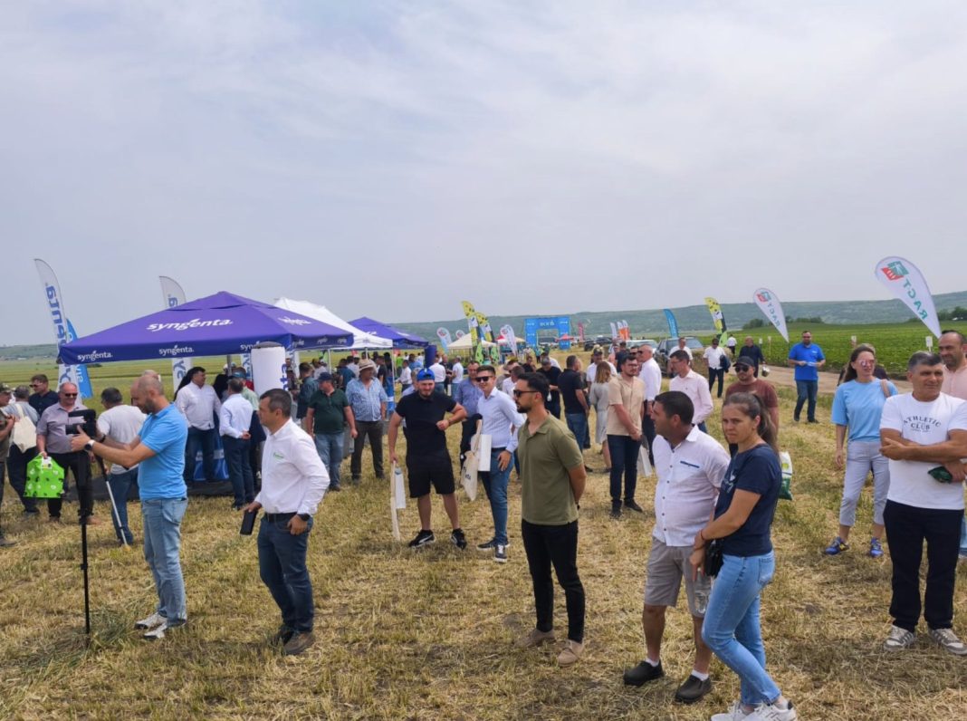 Group of people gathered in a field at an outdoor expo with blue Syngenta tents and flags in the background.