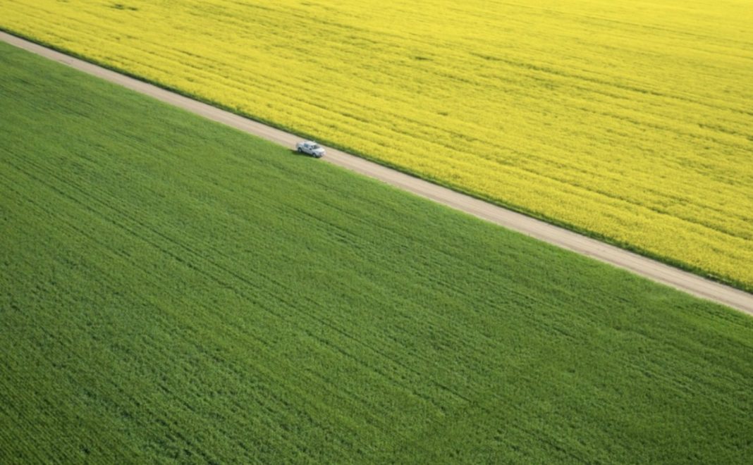 Aerial view of a dirt road through green fields with a yellow canola field in the distance and a small car on the road, viewed from above.