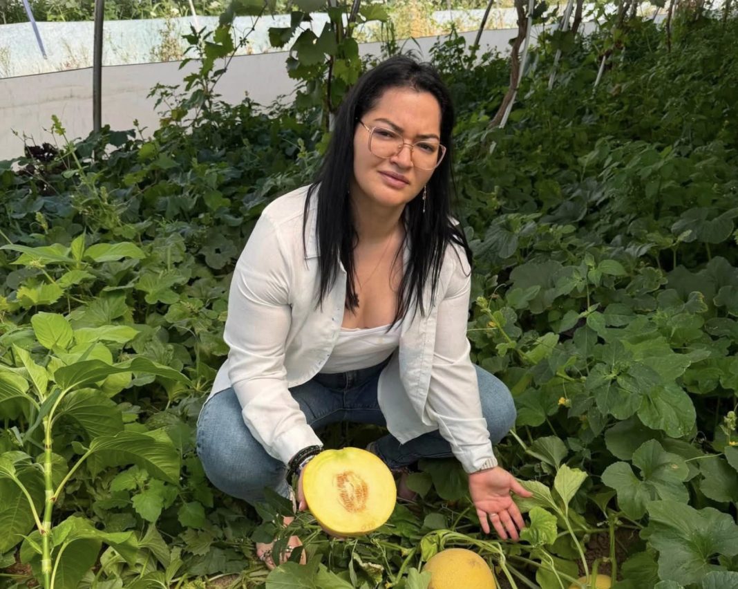 Woman crouching in a melon patch, holding a halved yellow cantaloupe in front of vines and leaves.